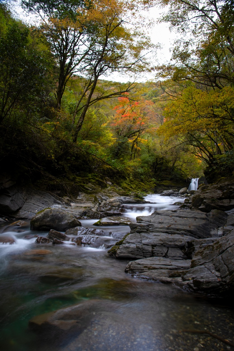 安康岚皋千层河霜降