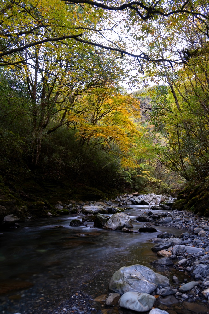 安康岚皋千层河霜降