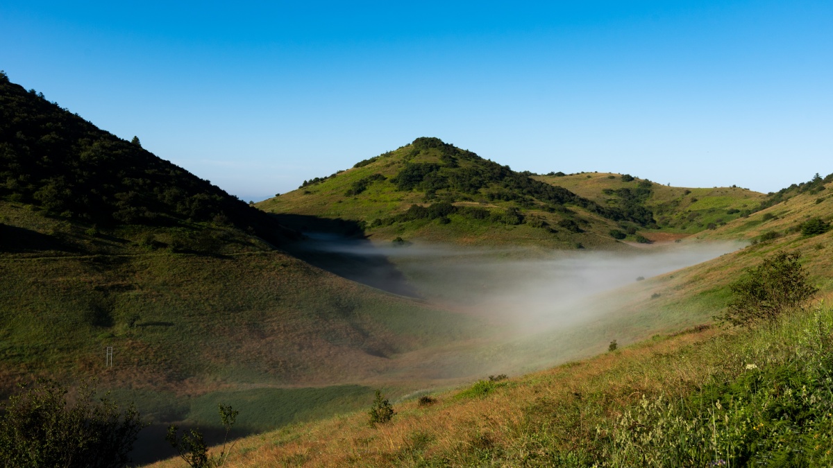安康岚皋神田草原清晨的草原湛蓝的天空草原上的水洼里雾气弥漫