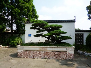 2507377