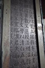 197A2956