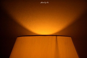 IMG_8085 