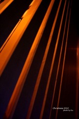 IMG_8161 