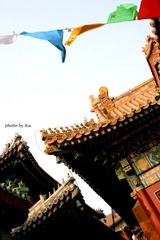 雍和宫