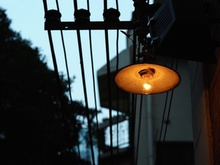 P9050042