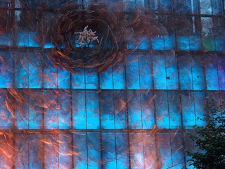 P9050058
