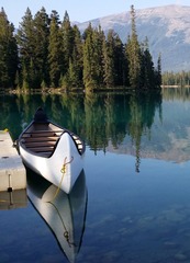213 Fairmont Jasper Lodge in the Morning