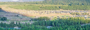 未标题_全景图1-2