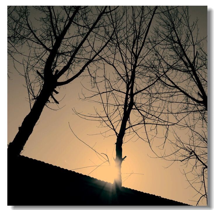 午后<br />
