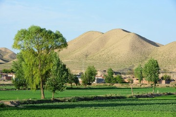 DSC_0350.jpg