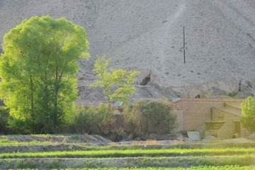 DSC_0343.jpg