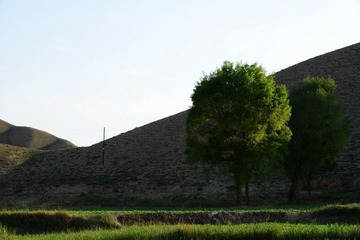 DSC_0339.jpg