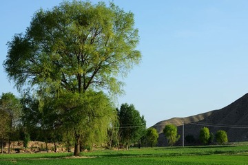DSC_0319.jpg