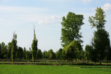 DSC_0315.jpg
