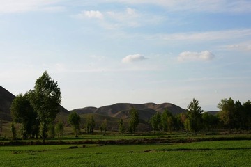 DSC_0308.jpg