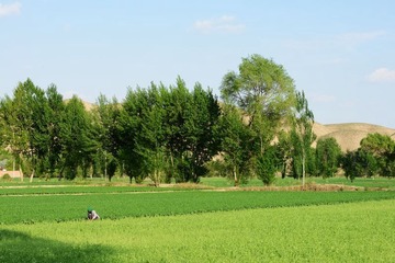 DSC_0305.jpg