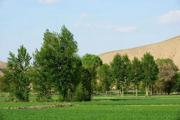 DSC_0304.jpg
