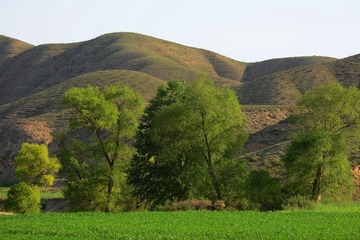 DSC_0297.jpg