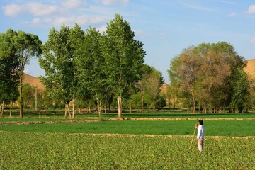 DSC_0296.jpg