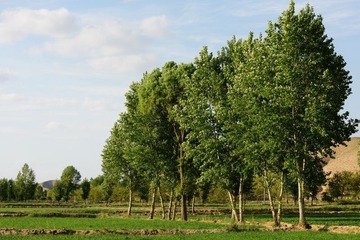 DSC_0292.jpg