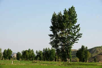 DSC_0291.jpg