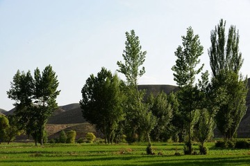 DSC_0288.jpg