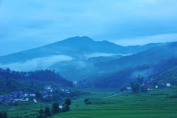 DSC_6017.jpg