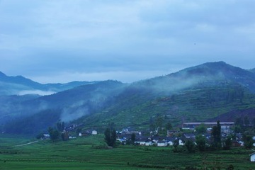 DSC_6019.jpg