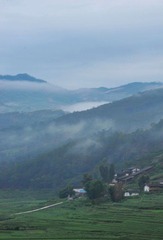 DSC_6020.jpg