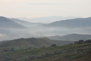 DSC_6031.jpg