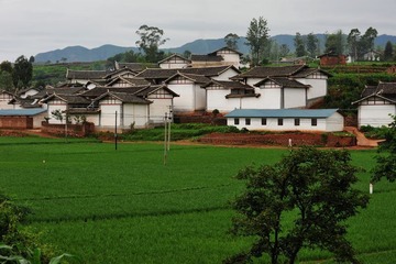 DSC_6036.jpg