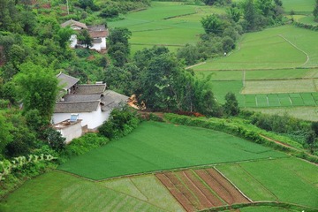 DSC_6043.jpg