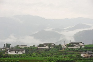 DSC_6061.jpg