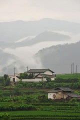 DSC_6063.jpg