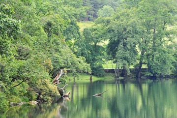 DSC_6096.jpg