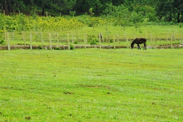 DSC_6098.jpg