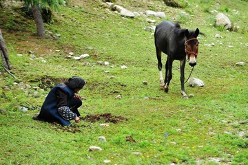 DSC_6108.jpg