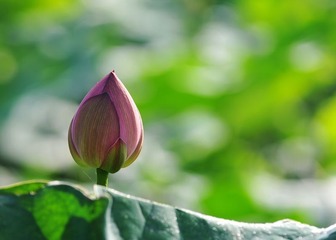 DSC_6169.jpg