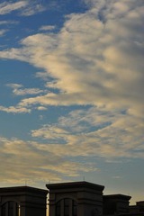 DSC_6142.jpg