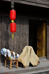 DSC_1424.jpg