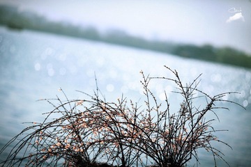 IMG_1705.jpg