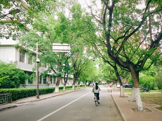 DSC08486 (1)-1