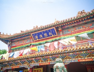 DSC08717-1