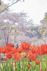 3F42A074-79CB-4063-83E1-5215D8737C20/L0/001