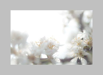JING0044.jpg