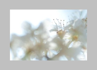 JING0076.jpg