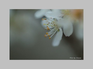 JING0035.jpg
