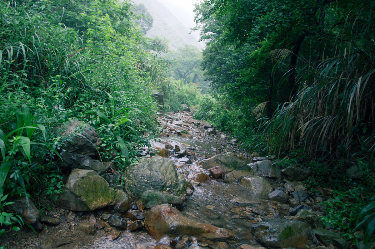 雨后的溪涧