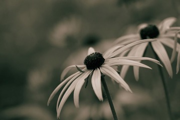 IMG_8015-2