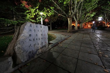 IMG_3339.JPG